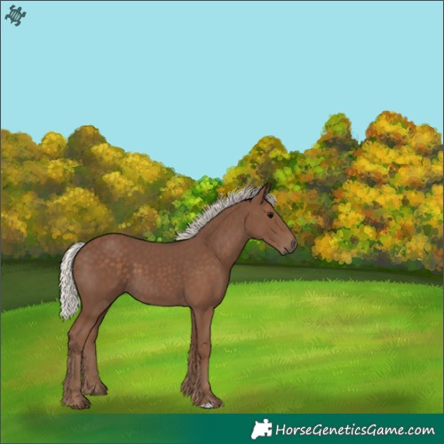 Horse Color:Silver Black 