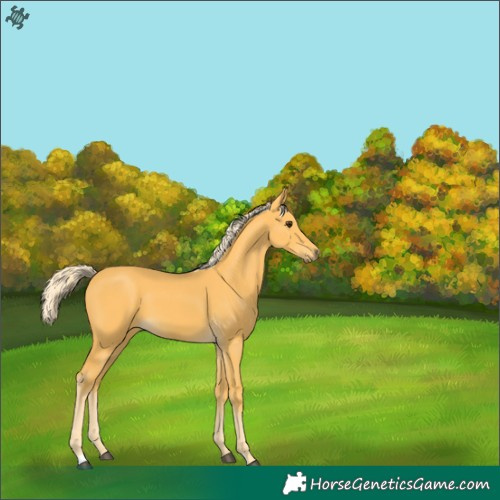 Horse Color:Palomino