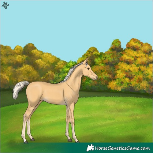 Horse Color:Palomino