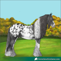 Horse Color:White Spotted Black Tobiano Frame Blanket