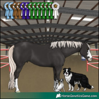 Horse Color:Liver Chestnut Mushroom 