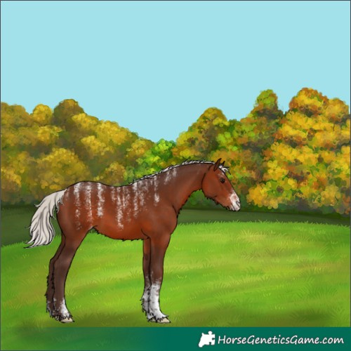 Horse Color:Powder White Silver Brown 