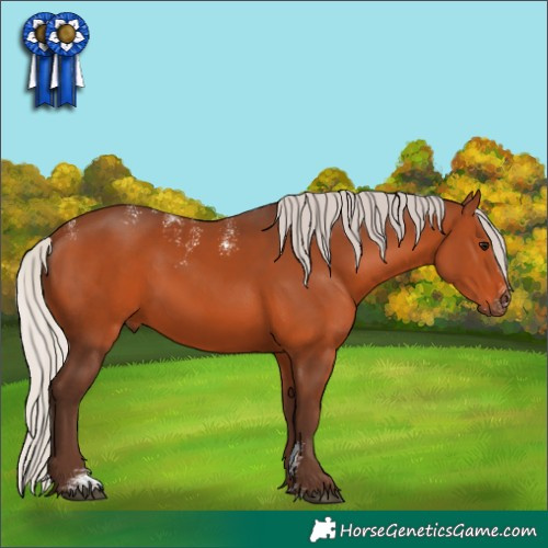 Horse Color:Powder White Silver Brown 