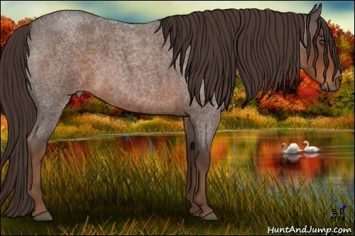 Horse Color:Liver Red Roan 