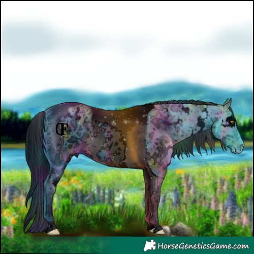 Horse Color:ERROR: UNKNOWN ANOMALY