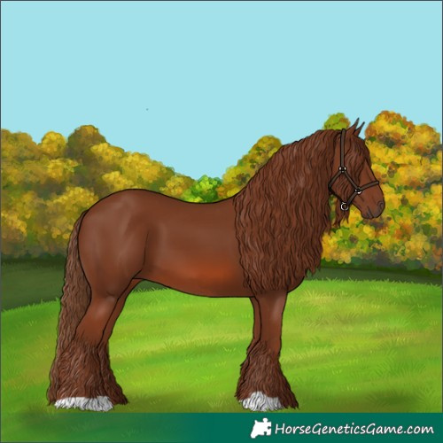 Horse Color:Chestnut 