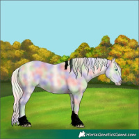Horse Color:Void Nacre Cremello Tobiano
