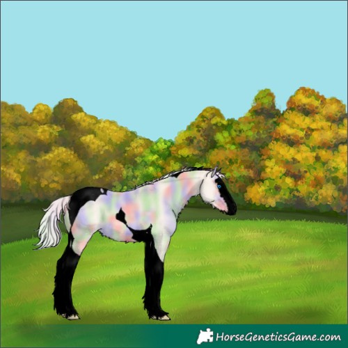 Horse Color:Void Nacre Cremello Splash Tobiano 