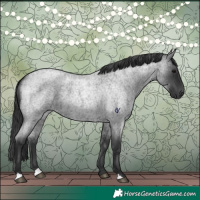 Horse Color:Blue Roan