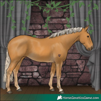 Horse Color:Palomino 