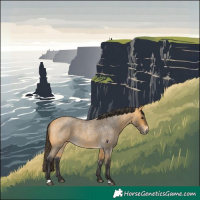 Horse Color:Buckskin Roan 