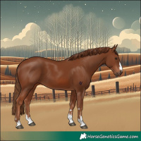 Horse Color:Chestnut 