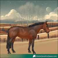 Horse Color:Bay 