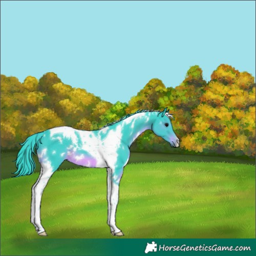 Horse Color:Watercolor White Spotted Black Tobiano