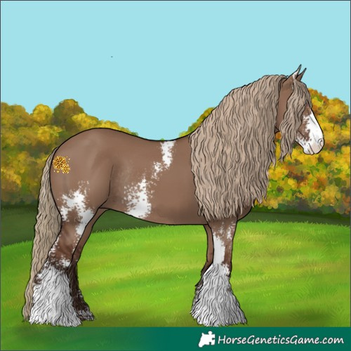 Horse Color:Liver Red Dun Sabino Rabicano