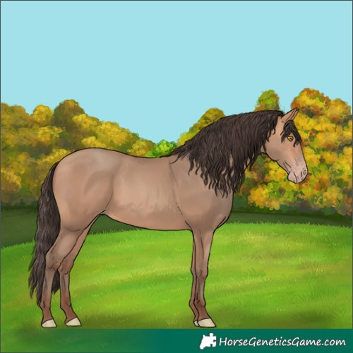 Horse Color:Amber Champagne 
