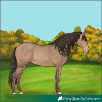 Horse Color:Amber Champagne 