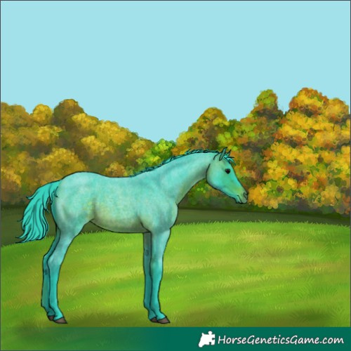 Horse Color:Watercolor Brown Roan 