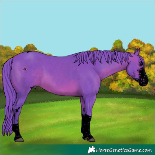 Horse Color:Void Watercolor Chocolate Brown Sabino Tobiano 