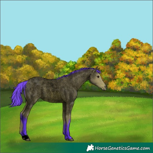Horse Color:Void Watercolor Bay Roan 