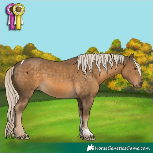 Horse Color:Chocolate Palomino Tobiano Rabicano 