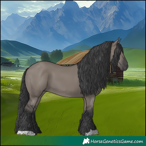 Horse Color:Grullo 