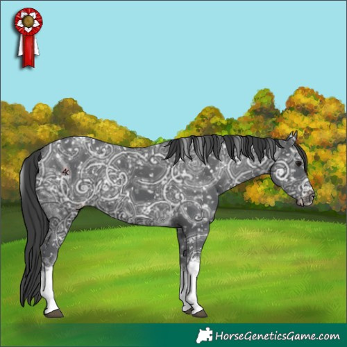 Horse Color:Black Ice Tobiano Appaloosa 