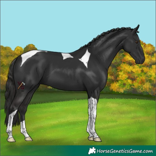 Horse Color:Liver Chestnut Tobiano 