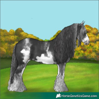 Horse Color:White Spotted Black Frame 