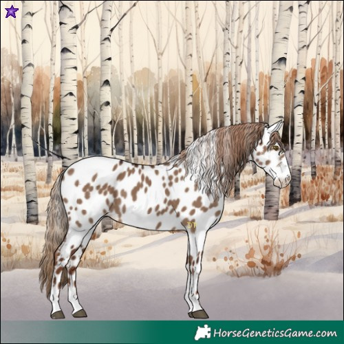 Horse Color:Liver Red Dun Sabino Near Leopard Rabicano 