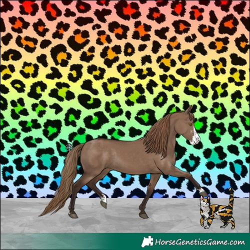 Horse Color:Liver Red Dun Sabino Rabicano 
