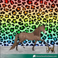 Horse Color:Liver Red Dun Sabino Rabicano 