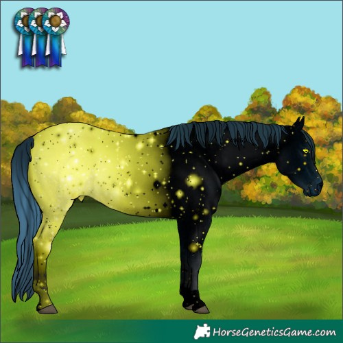 Horse Color:ERROR: UNKNOWN ANOMALY