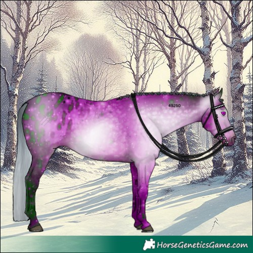 Horse Color:ERROR: UNKNOWN ANOMALY