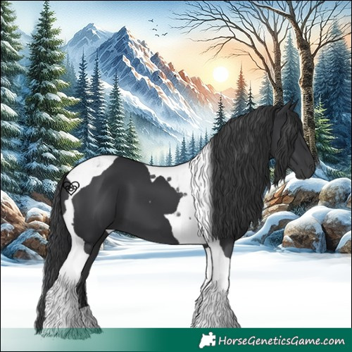 Horse Color:Black Tobiano 
