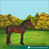 Horse Color:Brown 