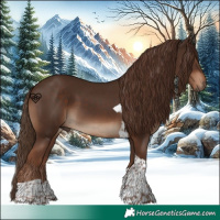 Horse Color:Liver Chestnut Tobiano 