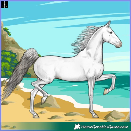 Horse Color:White Spotted Buckskin 