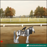 Horse Color:White Spotted Grullo Splash 