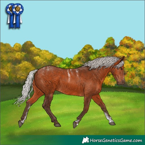 Horse Color:Powder White Silver Brown 