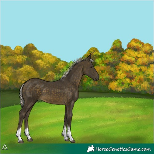 Horse Color:Silver Buckskin Tobiano 