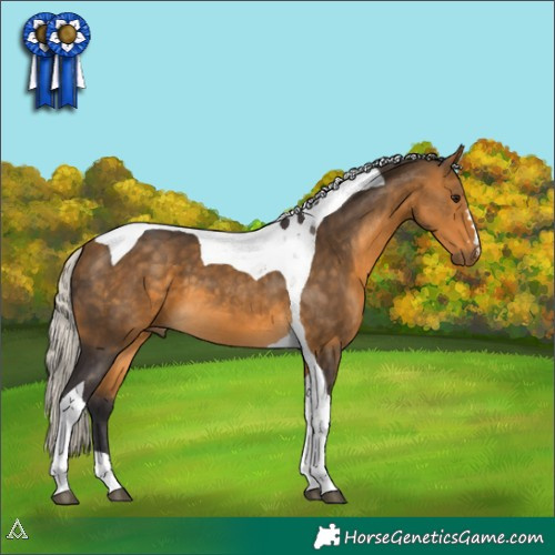 Horse Color:Silver Buckskin Tobiano 