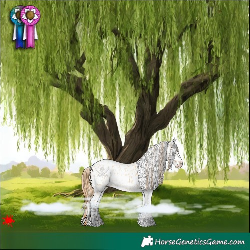 Horse Color:White Spotted Red Dun Near Leopard 