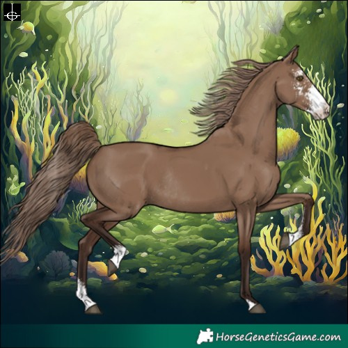 Horse Color:Liver Red Dun Sabino Rabicano