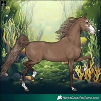 Horse Color:Liver Red Dun Sabino Rabicano 