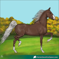 Horse Color:Silver Black 