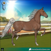 Horse Color:Silver Black 