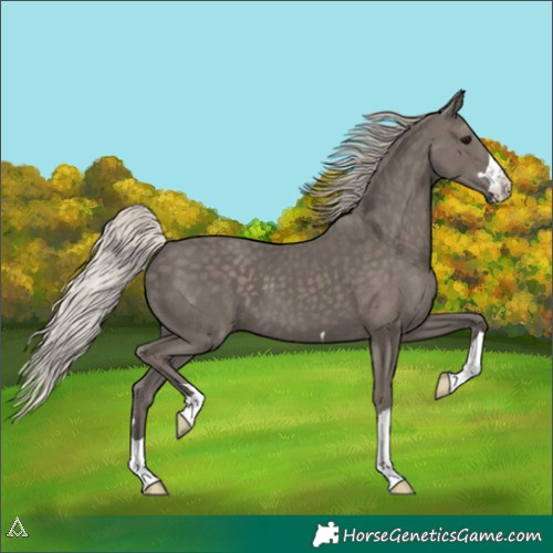 Horse Color:Silver Black 