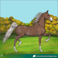 Horse Color:Silver Black 