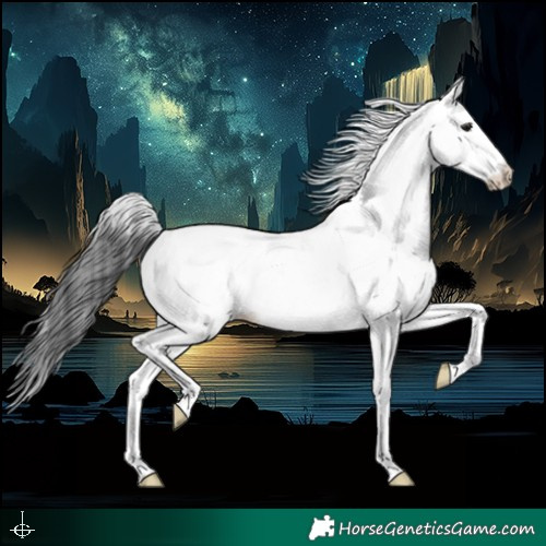 Horse Color:White Spotted Black Rabicano 